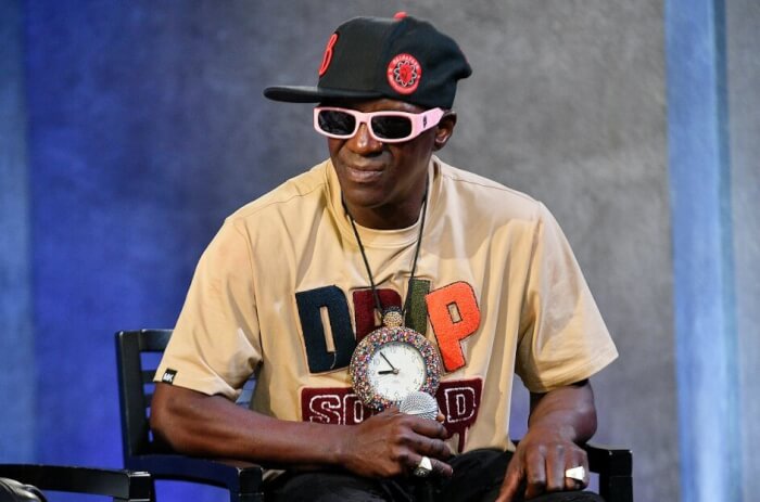Failed To Launch Other Careers, Flavor Flav