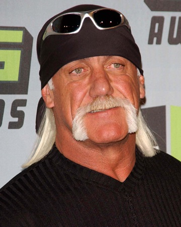 Failed To Launch Other Careers, Hulk Hogan
