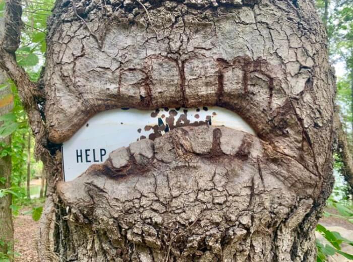 Creepy Trees