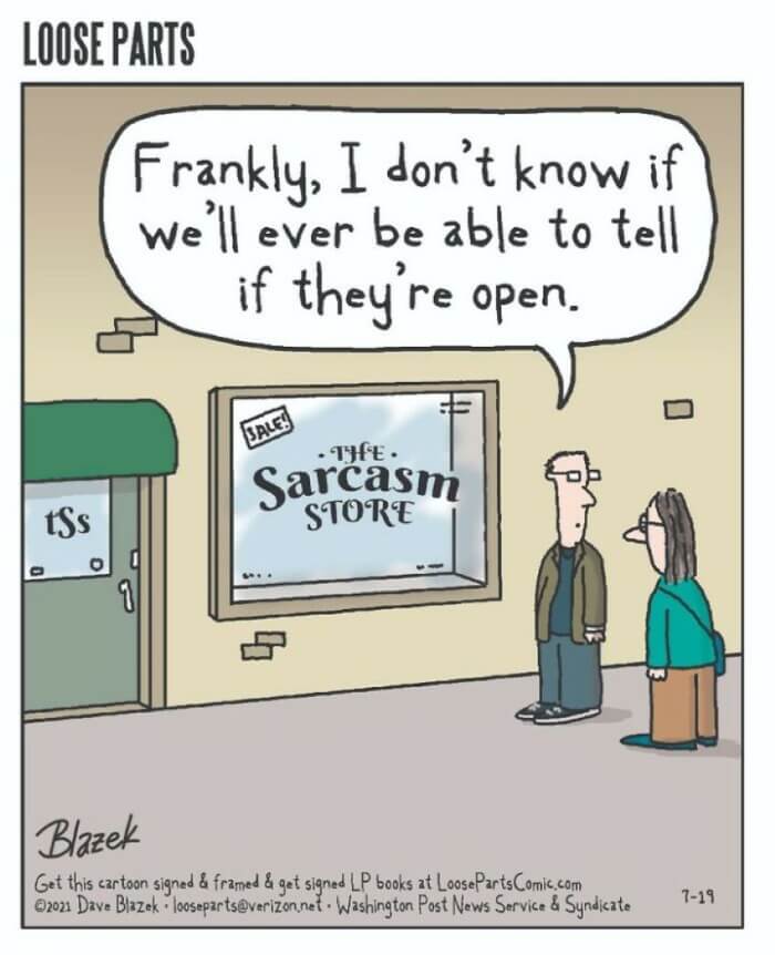 The Sarcasm store