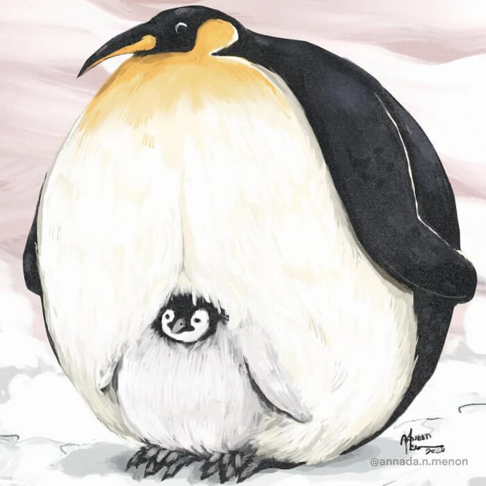 cute drawings of chubby animals