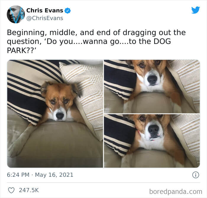 Tweets From Our Favorite Celebrities