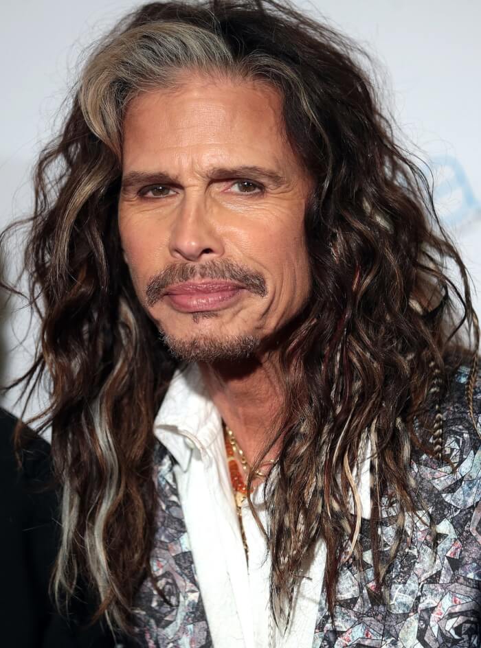 Actors Who Made Fun Of Their Works, Steven Tyler