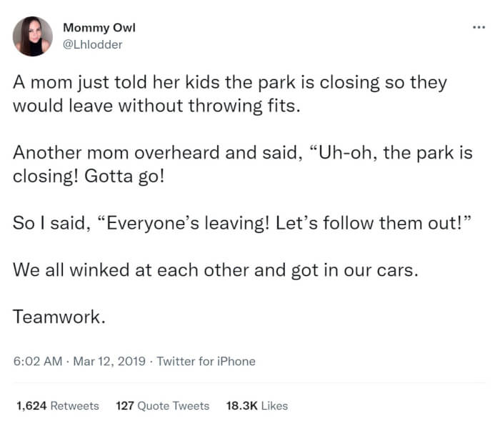 Tweets From Mommy Owl