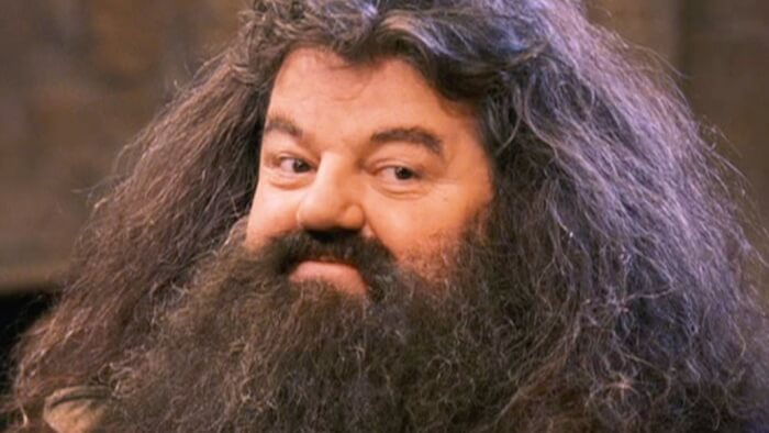 Hagrid Quotes