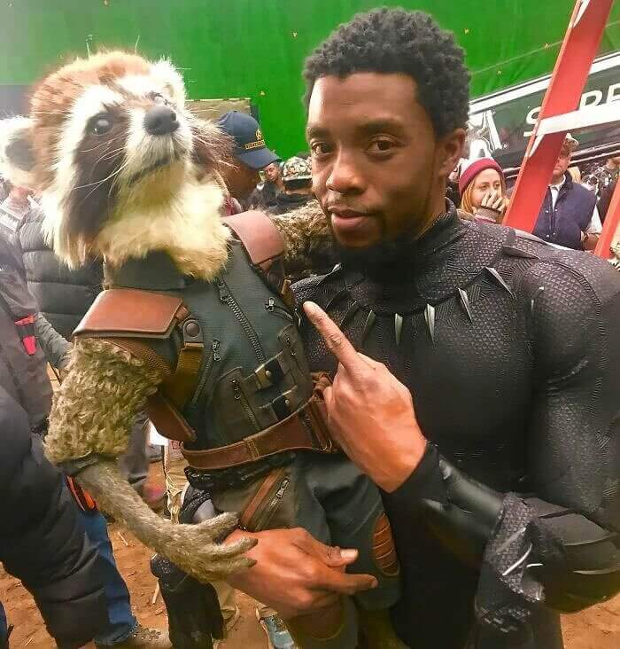Avengers: Infinity War (2018), Marvel's Funny And Wholesome Moments marvel behind the scenes funny, funny marvel gifs