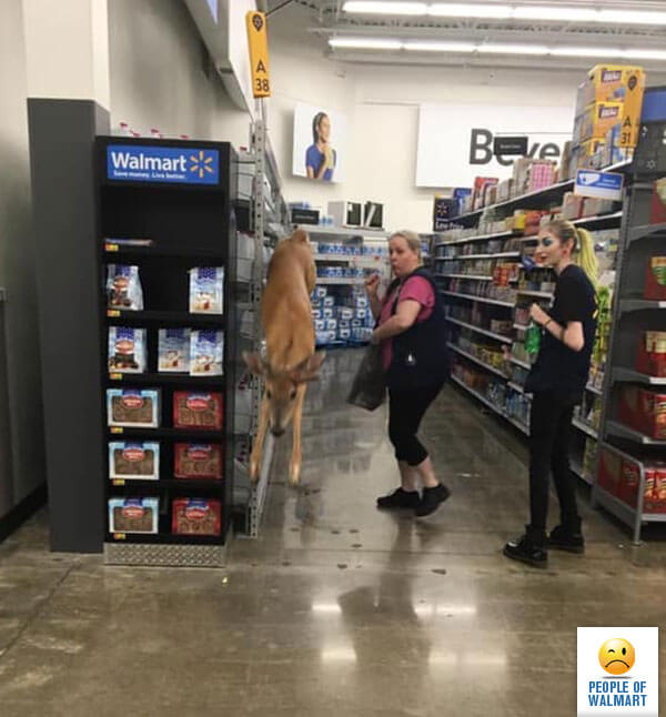 Wildest Photos In Walmart