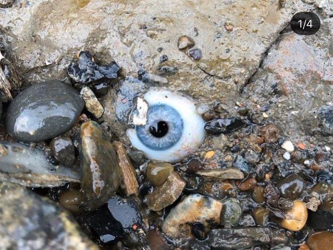 Guy found a glass eye embedded in a rock at a beach