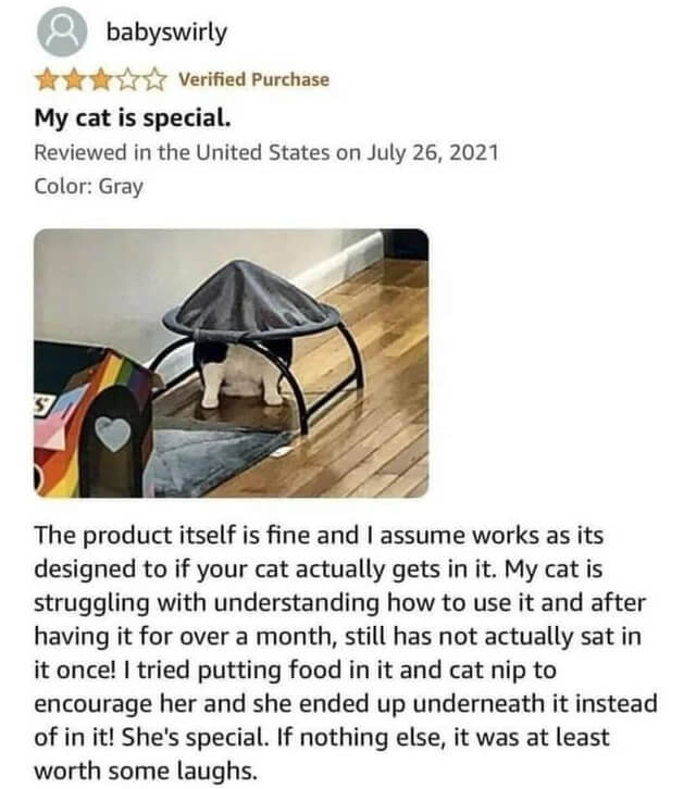 Funny Amazon Product Reviews