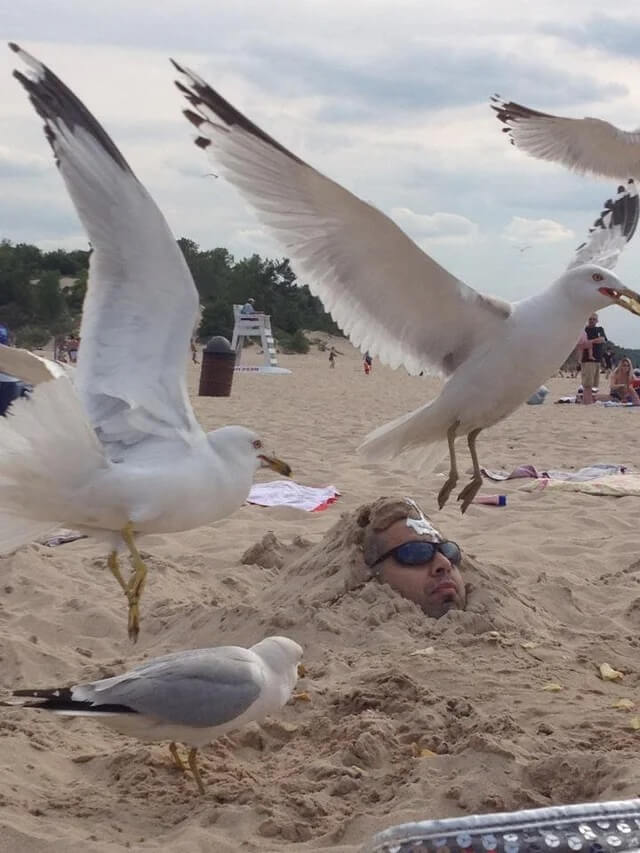 Hilarious Pictures On The Beach