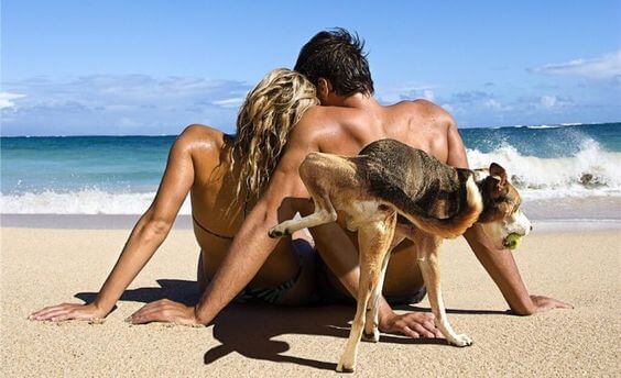 Hilarious Beach Pictures
