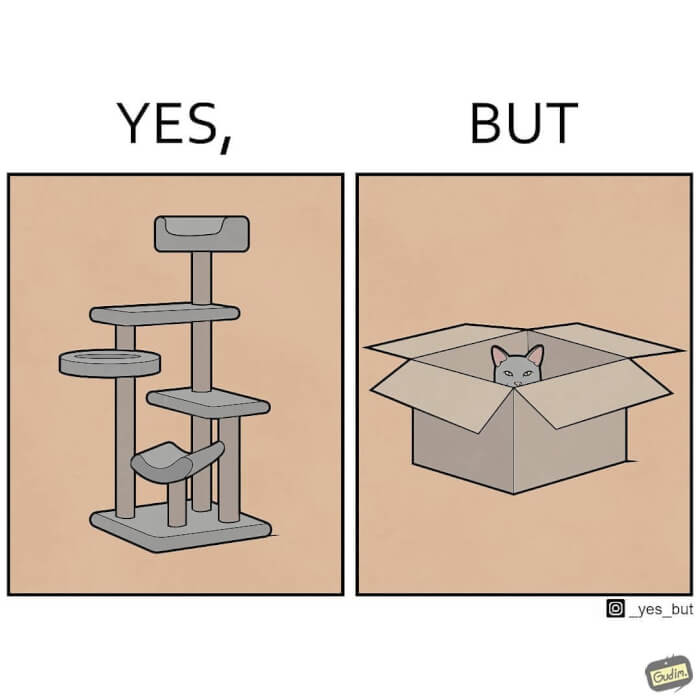 Funny Artworks, Cat's logic…