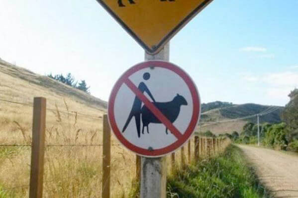 Things That Only Happen In Australia