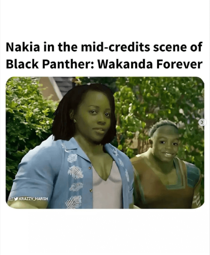 Nakia Black Panther