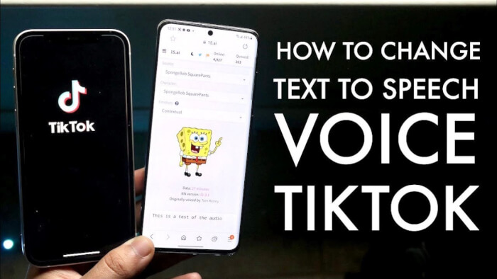 Tiktok Voice Filters