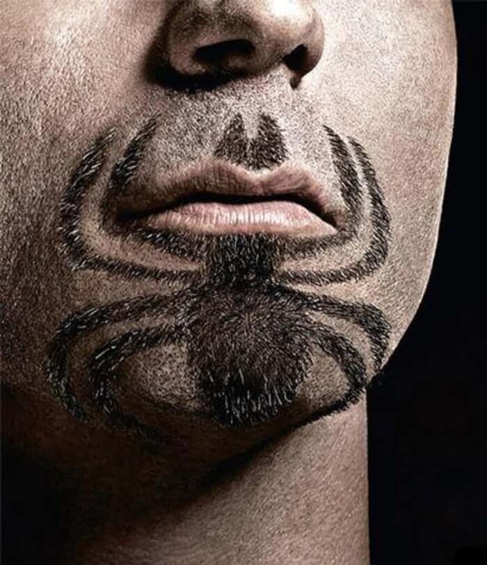 spider beard