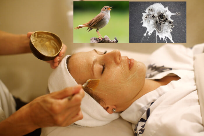 Use Bird Poop For Skincare