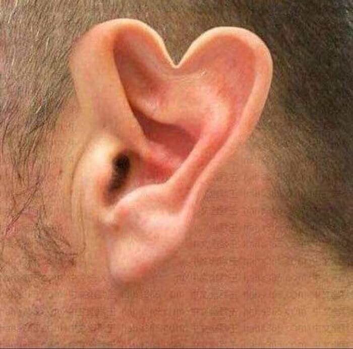 heart-shaped ear