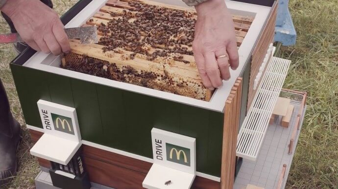 Visit Adorable Mc Hives - McDonald's Tiniest For-Bee-Only Restaurants