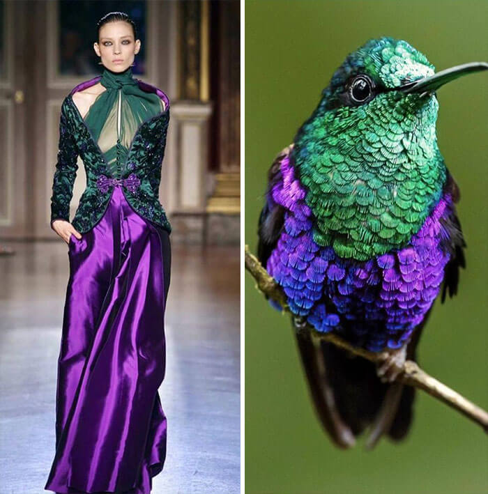 fashion insprired by nature 2
