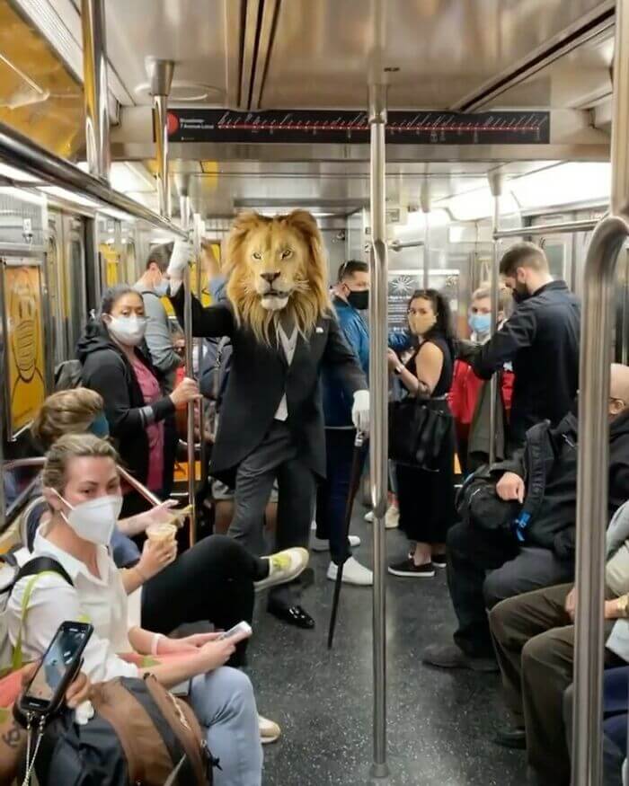 Lion On Subway