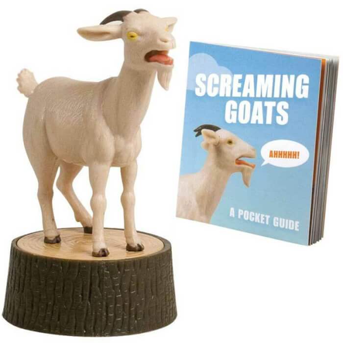 Screaming goat
