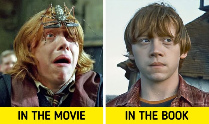 Books Characters, Ron Weasley, Harry Potter film series