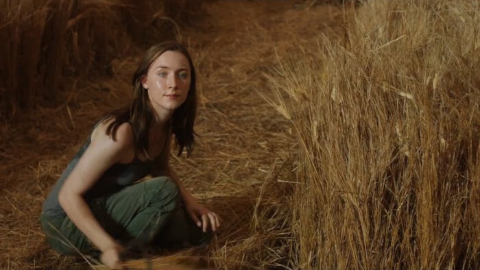 Saoirse Ronan as Melanie Stryder/Wanderer, aka Wanda in The Host