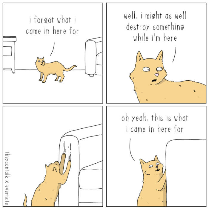 Hysterical Comics About Animals