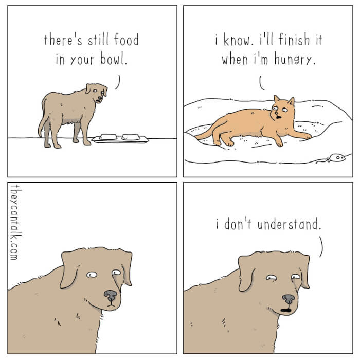 Hysterical Comics About Animals