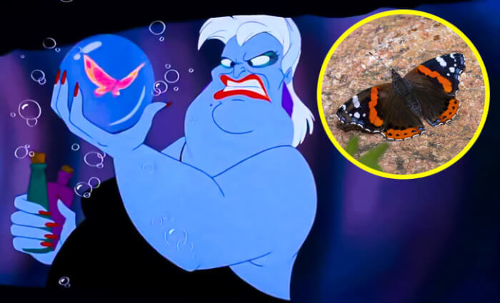 Unnoticed Details in Disney movies