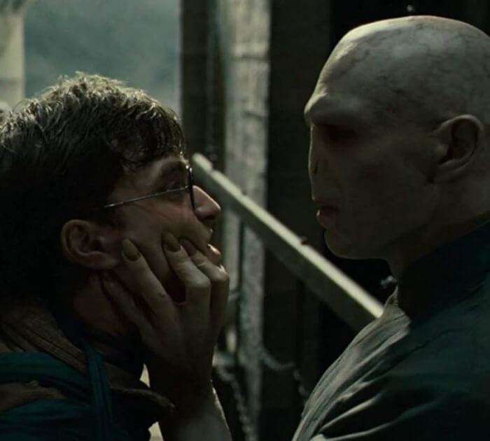 Harry Potter and Voldermort