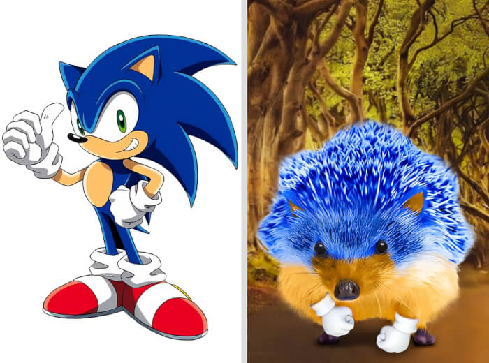 Sonic (Sonic the Hedgehog)