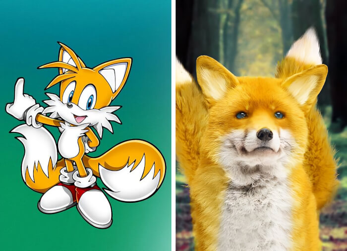Miles “Tails” Prower (Sonic the Hedgehog)