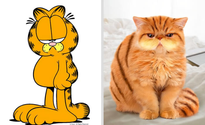 cartoon characters Garfield