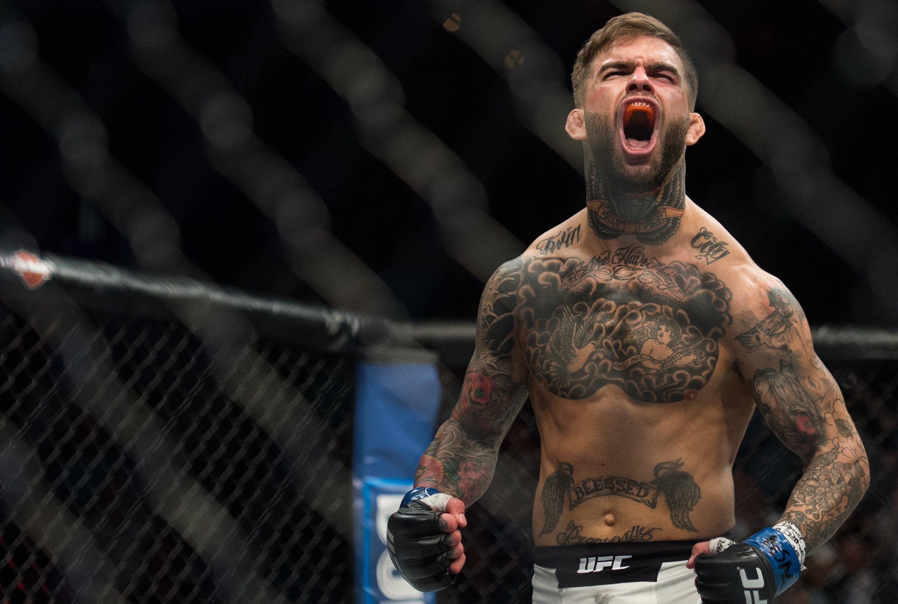UFC Fighter Face Tattoos cody garbrandt face tattoo, cody garbrandt tattoo face