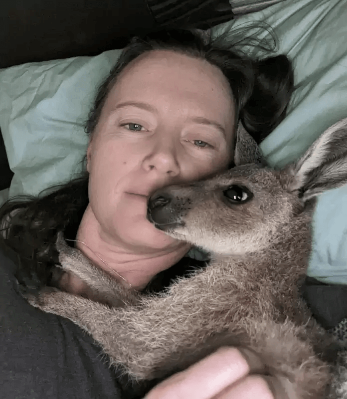 Orphaned Kangaroo, kangaroos hugging