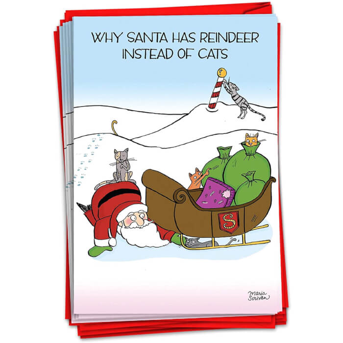 Hilarious Christmas Cards 14