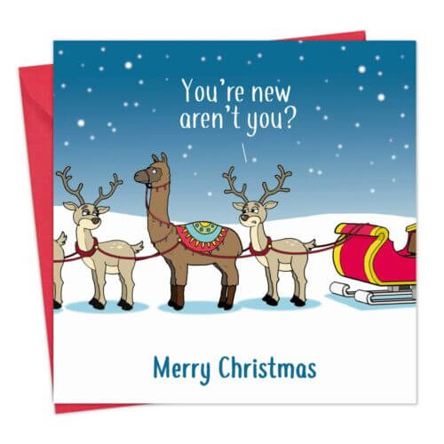 Hilarious Christmas Cards 15