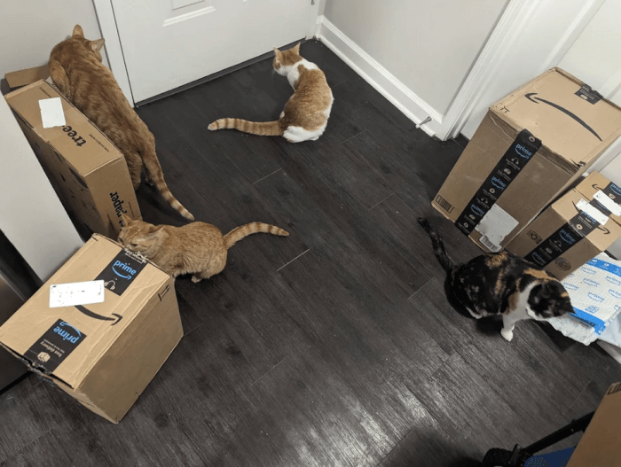 Package inspection team