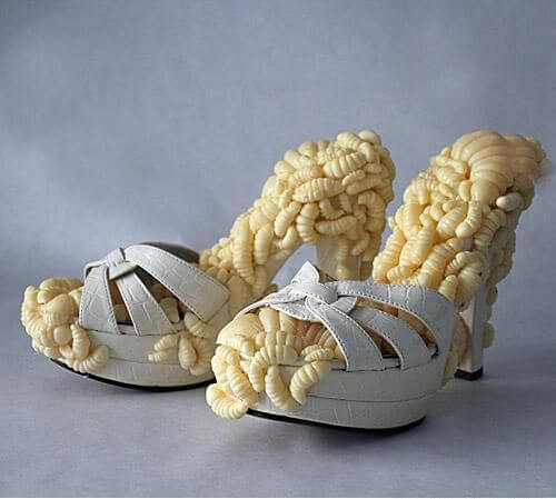 Craziest Shoes In The World 3