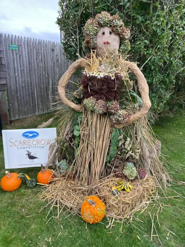 Funny Scarecrows 11