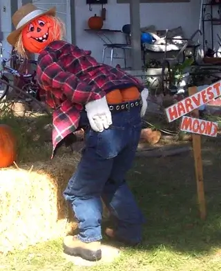 Funny Scarecrows 8