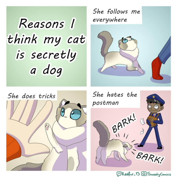 Relatale Comics About Cats