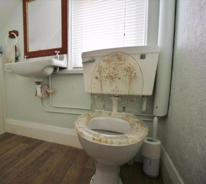 Weird Toilet Designs