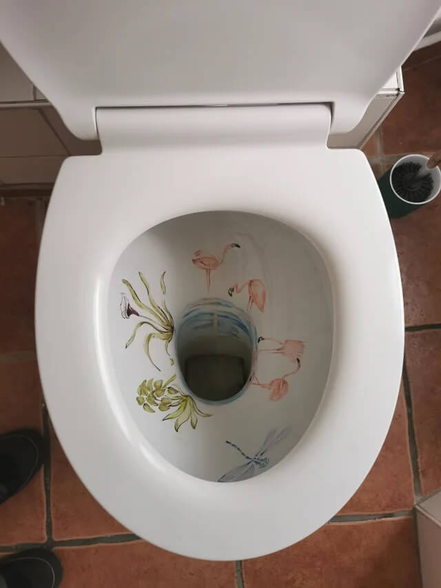Pictures Of Weird Toilets