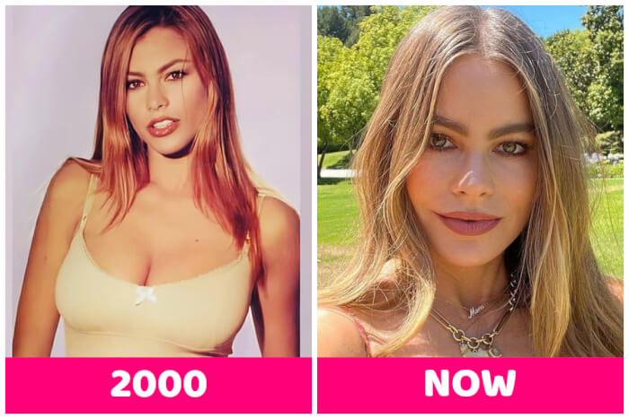 celebrities have stopped aging Sofía Vergara, 50 years old