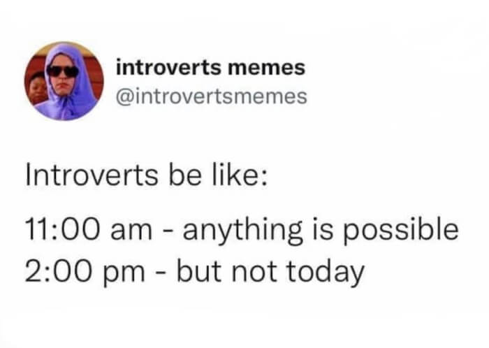 Memes For Introverted People 