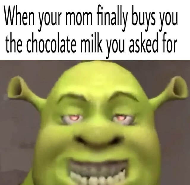 Funniest Shrek Memes