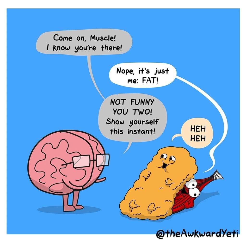 Funny Comics About Anatomy